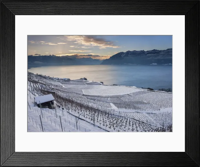 Framed Print : Switzerland, Canton of Vaud, Lake Geneva, Lavaux UNESCO world heritage site Framed Print : Switzerland, Canton of Vaud, Lake Geneva, Lavaux UNESCO world heritage site