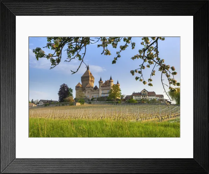 Framed Print : Switzerland, Canton of Vaud, Vufflens-le-Chateau castle Framed Print : Switzerland, Canton of Vaud, Vufflens-le-Chateau castle