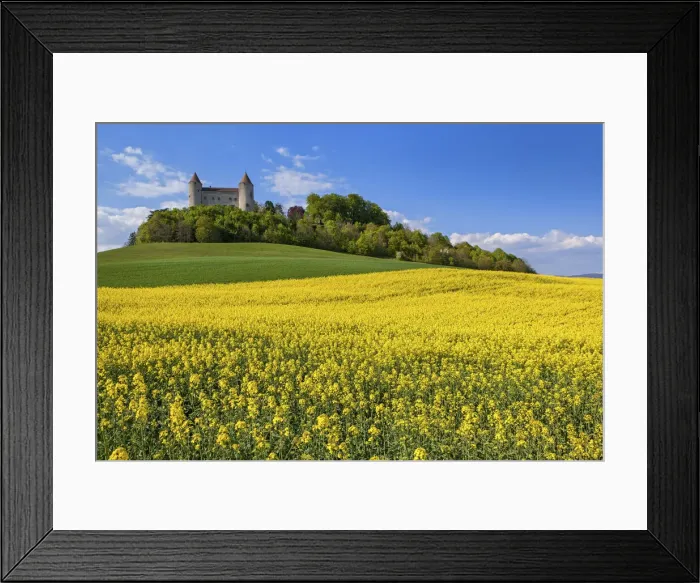 Framed Print : Switzerland, Canton of Vaud, Champvent castle Framed Print : Switzerland, Canton of Vaud, Champvent castle
