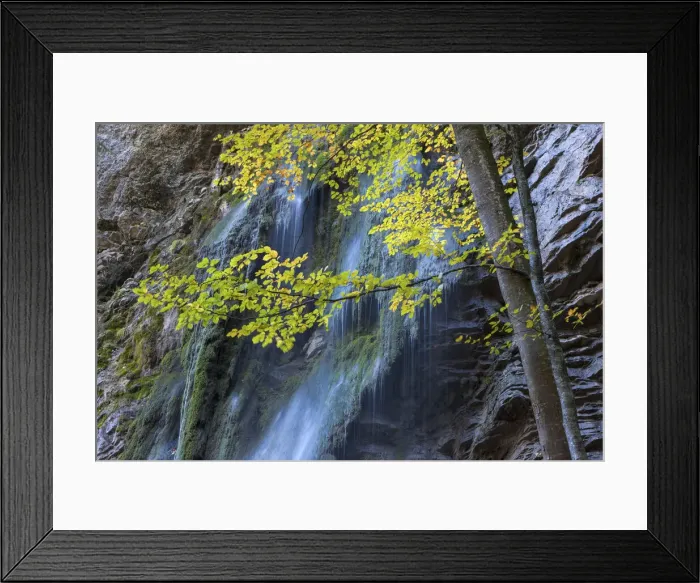 Framed Print : Switzerland, Canton of Fribourg, Jaunbachschlucht gorge Framed Print : Switzerland, Canton of Fribourg, Jaunbachschlucht gorge