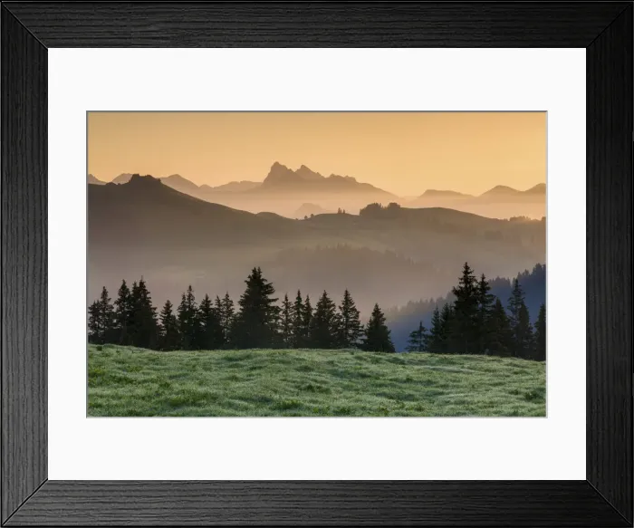 Framed Print : Switzerland, Canton of Vaud, Swiss alps, Pyas d Enhaut Nature park Framed Print : Switzerland, Canton of Vaud, Swiss alps, Pyas d Enhaut Nature park