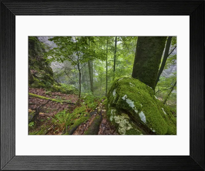 Framed Print : Switzerland, Canton of Solothurn, Wolfsschlucht gorge