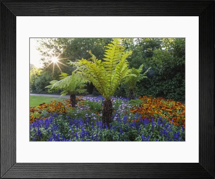 Framed Print : England, London, Greenwich, Greenwich Park, The Flower Garden