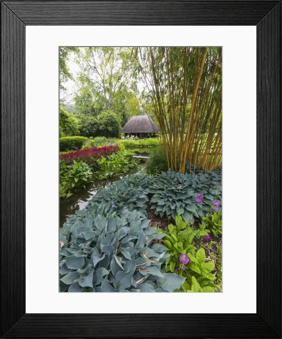 Framed Print : England, Hampshire, Test Valley, Stockbridge, Longstock, Leckford Estate Framed Print : England, Hampshire, Test Valley, Stockbridge, Longstock, Leckford Estate