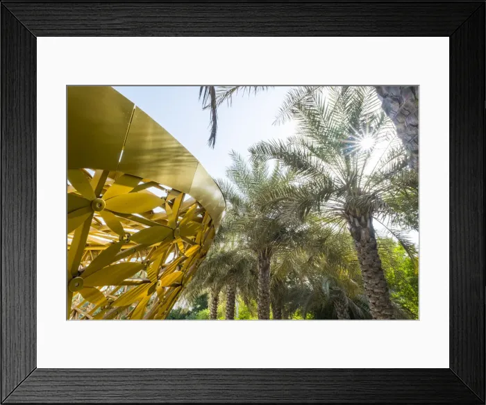 Framed Print : Butterfly house, Al Noor Island, Sharjah, United Arab Emirates Framed Print : Butterfly house, Al Noor Island, Sharjah, United Arab Emirates