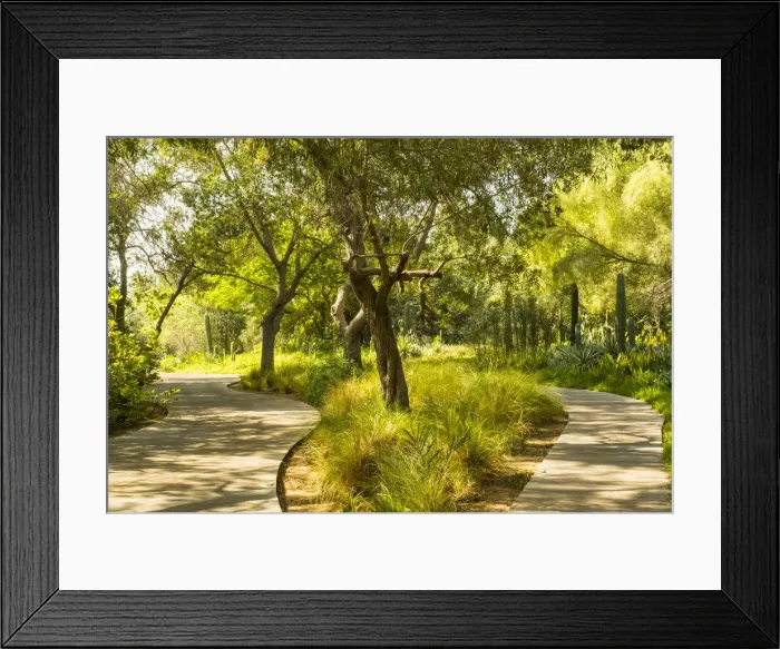Framed Print : Al Noor Island, Sharjah, United Arab Emirates Framed Print : Al Noor Island, Sharjah, United Arab Emirates