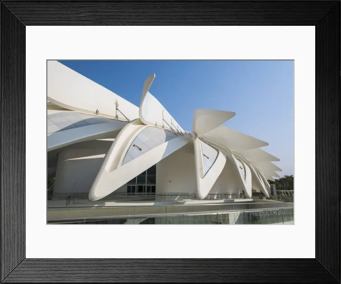 Framed Print : Dubai, United Arab Emirates Framed Print : Dubai, United Arab Emirates