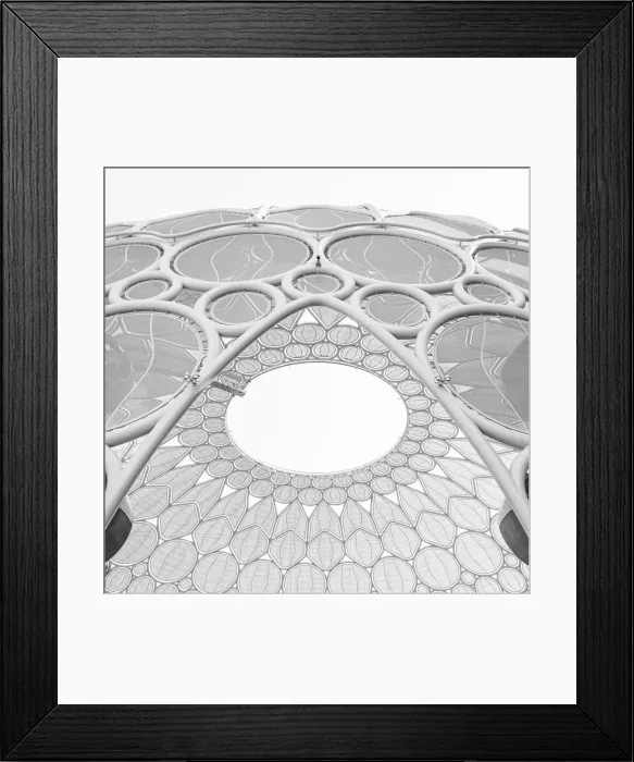 Framed Print : Al Wasl Plaza, Expo 2020, Dubai, United Arab Emirates Framed Print : Al Wasl Plaza, Expo 2020, Dubai, United Arab Emirates
