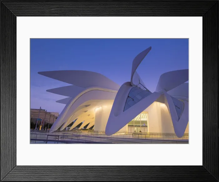 Framed Print : UAE Pavilion by Santiago Calatrava, Expo 2020, Dubai, United Arab Emirates Framed Print : UAE Pavilion by Santiago Calatrava, Expo 2020, Dubai, United Arab Emirates