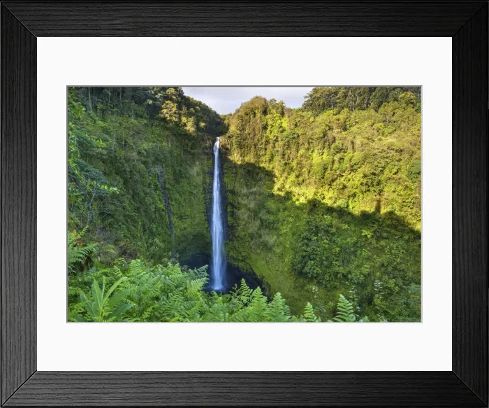 Framed Print : USA, Hawaii, Big Island, Akaka Falls State Park, Akaka Falls Framed Print : USA, Hawaii, Big Island, Akaka Falls State Park, Akaka Falls