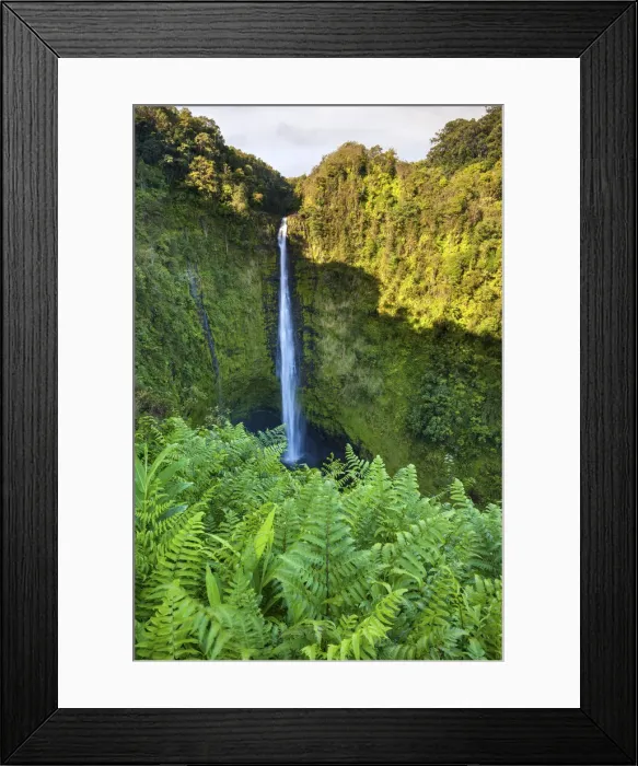 Framed Print : USA, Hawaii, Big Island, Akaka Falls State Park, Akaka Falls Framed Print : USA, Hawaii, Big Island, Akaka Falls State Park, Akaka Falls