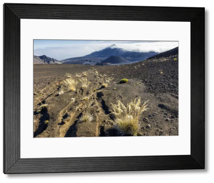Framed Print : USA, Hawaii, Maui, Haleakale Nationalpark, Haleakala Crater Framed Print : USA, Hawaii, Maui, Haleakale Nationalpark, Haleakala Crater