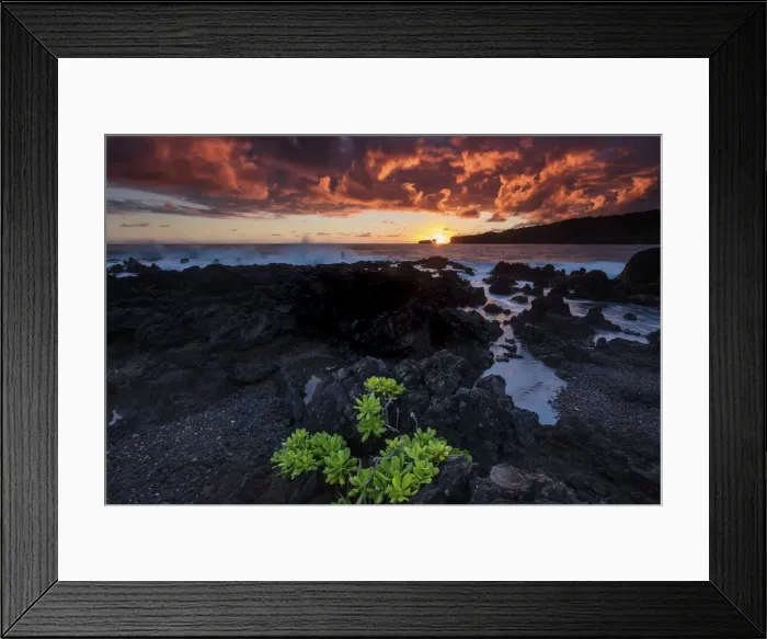 Framed Print : USA, Hawaii, Maui, Keanae Beach, sunrise Framed Print : USA, Hawaii, Maui, Keanae Beach, sunrise