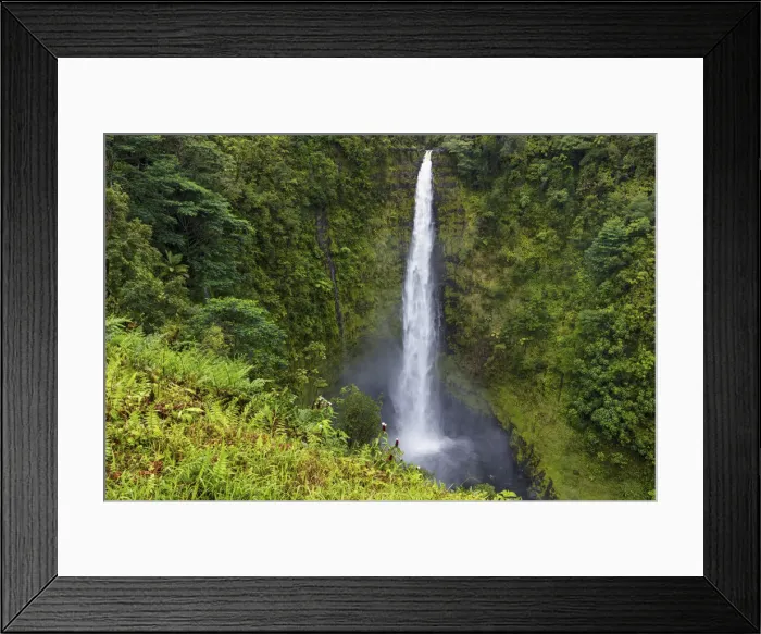 Framed Print : USA, Hawaii, Big Island, Akaka Falls State Park, Akaka Falls Framed Print : USA, Hawaii, Big Island, Akaka Falls State Park, Akaka Falls