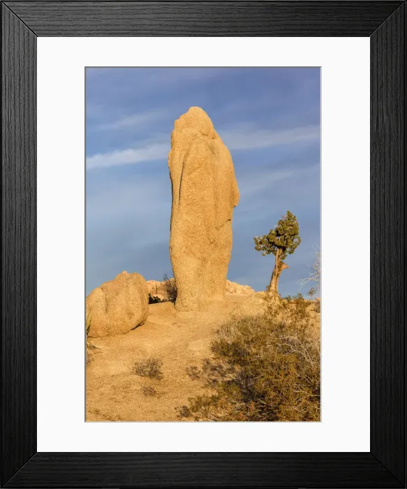 Framed Print : USA, California, Joshua Tree National Park