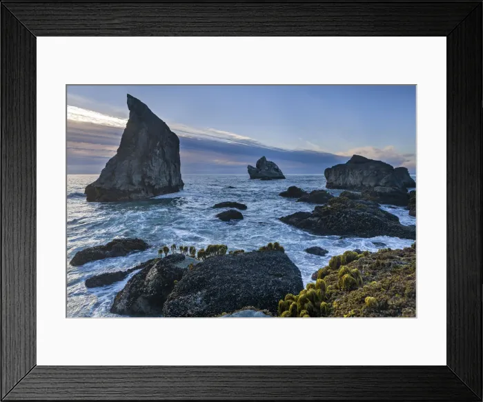 Framed Print : USA, California, West Coast, Patricks Point State Park Framed Print : USA, California, West Coast, Patricks Point State Park