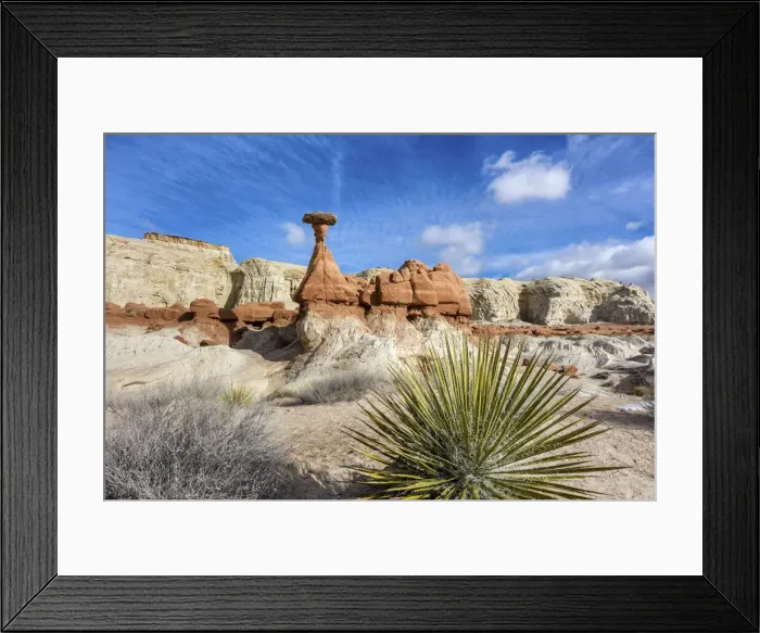Framed Print : USA, Utah, Grand Staircaise-Escalante National Monument, Toadstool Hoodoos Framed Print : USA, Utah, Grand Staircaise-Escalante National Monument, Toadstool Hoodoos