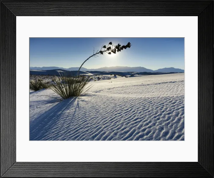 Framed Print : USA, New Mexico, White Sands National Park, Gypsum Sand Dunes Framed Print : USA, New Mexico, White Sands National Park, Gypsum Sand Dunes