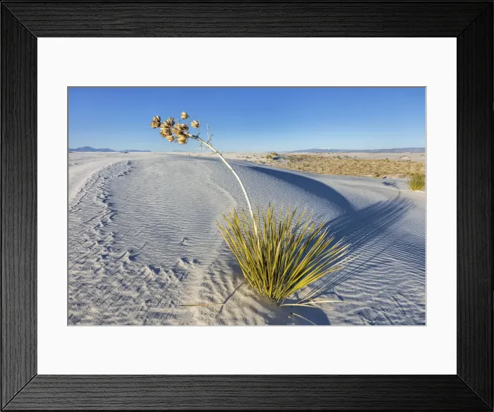Framed Print : USA, New Mexico, White Sands National Park, Gypsum Sand Dunes Framed Print : USA, New Mexico, White Sands National Park, Gypsum Sand Dunes