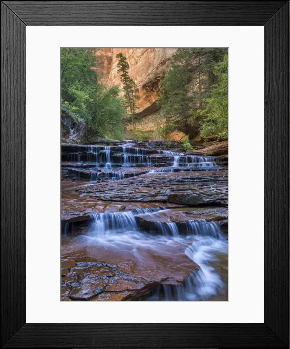 Framed Print : USA, Utah, Zion National Park, Left Fork