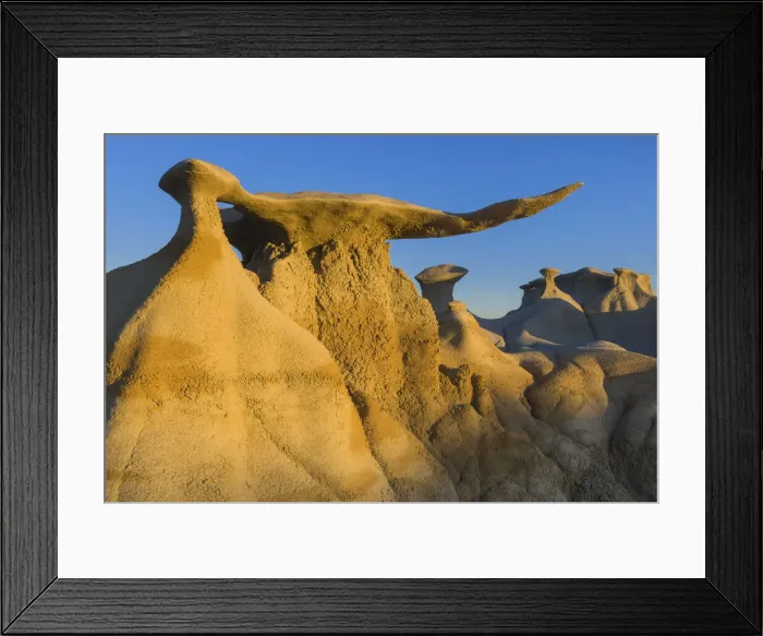 Framed Print : USA, New Mexico, Bisti Wilderness area, Bisti badlands, Wings of Stone Framed Print : USA, New Mexico, Bisti Wilderness area, Bisti badlands, Wings of Stone
