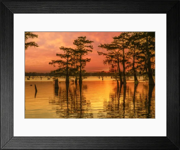 Framed Print : USA, Louisiana, Atchafalaya basin Framed Print : USA, Louisiana, Atchafalaya basin