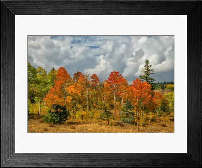 Framed Print : USA, New Mexico, Southwest, Chama, Carson National Forest Framed Print : USA, New Mexico, Southwest, Chama, Carson National Forest