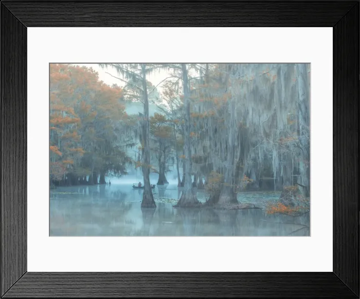 Framed Print : USA, Texas, Caddo lake (dm) Framed Print : USA, Texas, Caddo lake (dm)