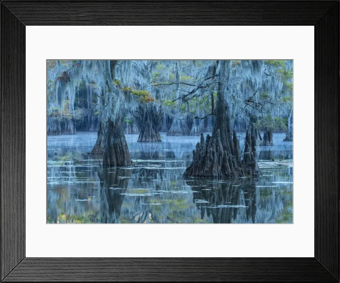 Framed Print : USA, Texas, Caddo lake Framed Print : USA, Texas, Caddo lake
