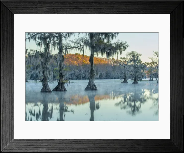 Framed Print : USA, Texas, Caddo Lake Framed Print : USA, Texas, Caddo Lake