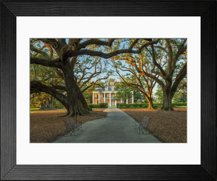 Framed Print : USA, South, Louisiana, Vacherie, Oak Alley Plantation Framed Print : USA, South, Louisiana, Vacherie, Oak Alley Plantation