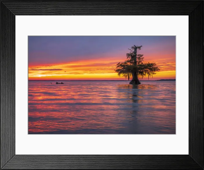 Framed Print : USA, South, Louisiana, Lafayette, Lake Faussee
