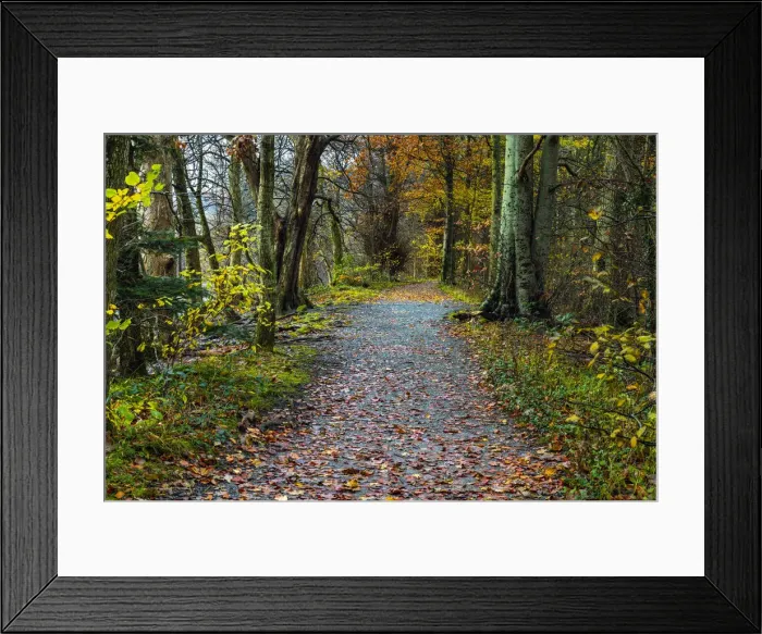 Framed Print : UK, England, Cumbria, Lake District National Park, Monk Coniston, Coniston Water Framed Print : UK, England, Cumbria, Lake District National Park, Monk Coniston, Coniston Water