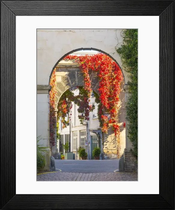 Framed Print : Red ivy over arch in a mews street in Kensington, London, England, UK Framed Print : Red ivy over arch in a mews street in Kensington, London, England, UK