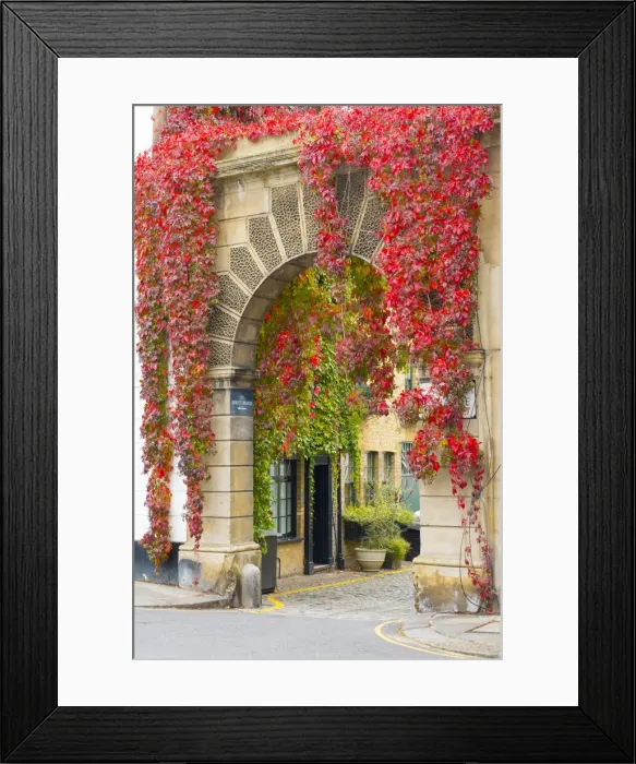 Framed Print : Red ivy over arch in a mews street in Kensington, London, England, UK