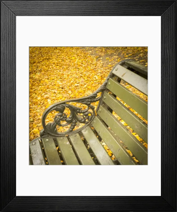 Framed Print : Regents Park in Autumn, London, England, UK Framed Print : Regents Park in Autumn, London, England, UK