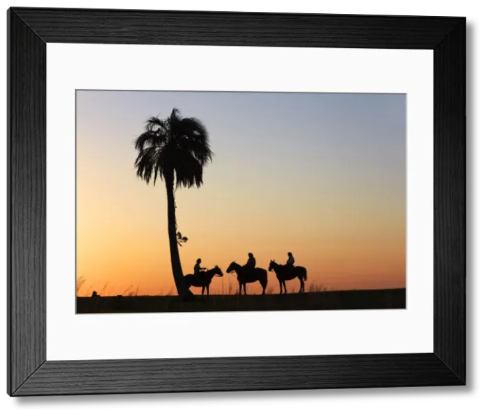 Framed Print : Gauchos on horseback at sunset, Estancia Buena Vista, Esquina, Corrientes, Argentina Framed Print : Gauchos on horseback at sunset, Estancia Buena Vista, Esquina, Corrientes, Argentina