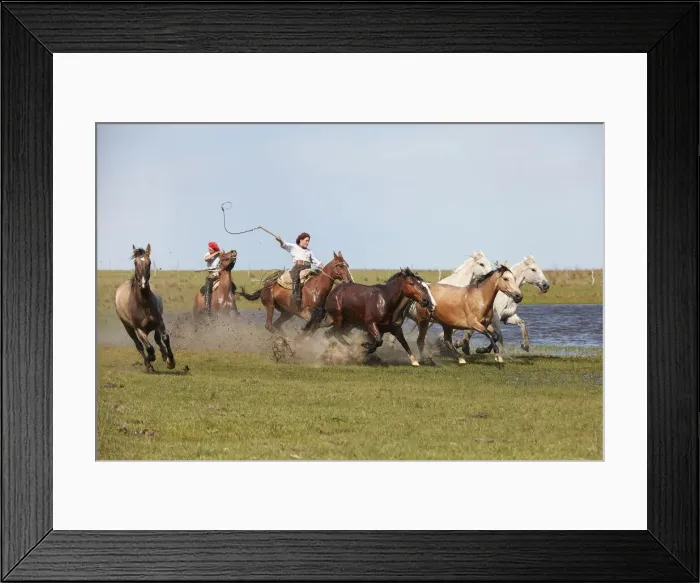 Framed Print : Two gauchos drive a herd of horses through a lagoon of the Estancia Buena Vista, Esquina, Corrientes, Argentina Framed Print : Two gauchos drive a herd of horses through a lagoon of the Estancia Buena Vista, Esquina, Corrientes, Argentina