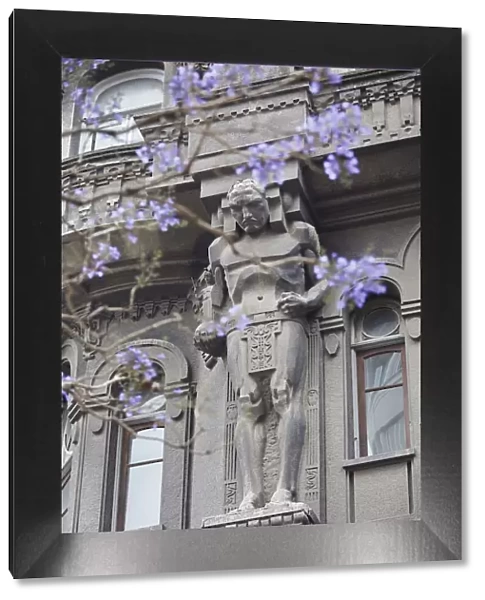 One of the 'Atlas'over the main facade of the Otto Wulff buiding with a Jacaranda flowering plant in foreground, Monserrat, Buenos Aires, Argentina. The building was built in Jugendstil style