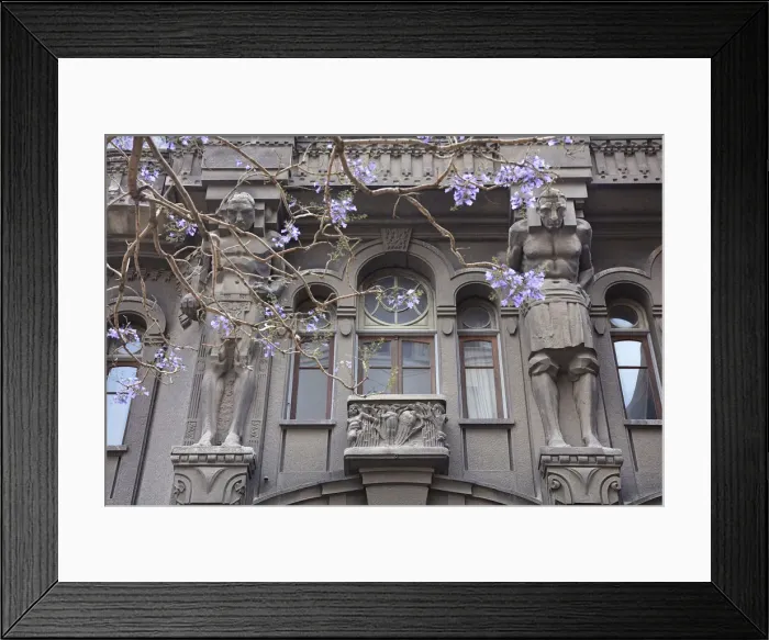 Framed Print : Atlases'over the main facade of the Otto Wulff buiding with a Jacaranda flowering plant in foreground, Monserrat, Buenos Aires, Argentina. The building was built in Jugendstil style