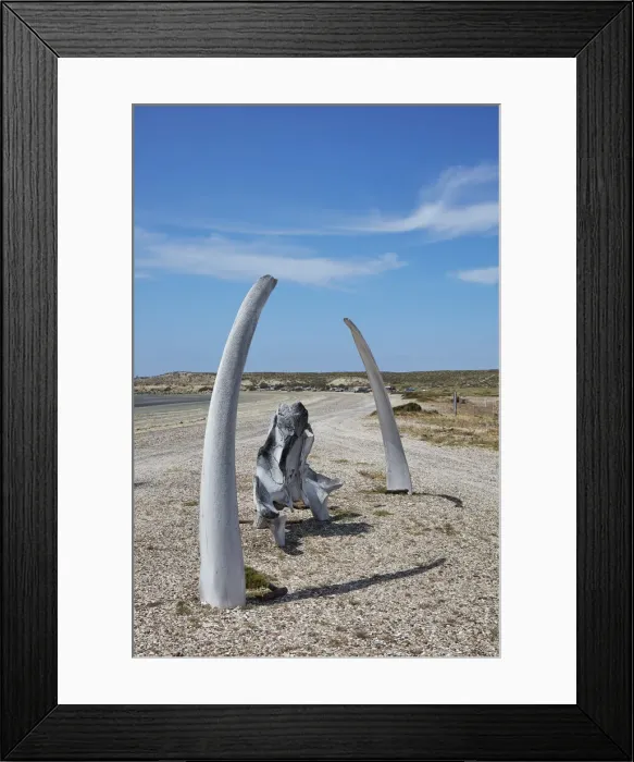 Framed Print : Southern Right Whale bones at Playa Larralde beach, Peninsula Valdes, Chubut, Patagonia, Argentina Framed Print : Southern Right Whale bones at Playa Larralde beach, Peninsula Valdes, Chubut, Patagonia, Argentina