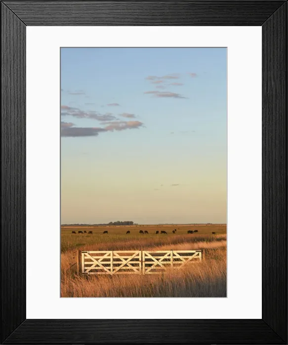 Framed Print : The entrance gate to an estancia of the Argentine pampas at sunset, Las Flores, Argentina