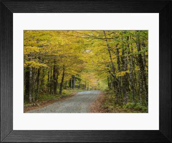 Framed Print : Canada, New Brunswick, Fundy National Park, Laverty Falls, UNESCO Fundy Biosphere Reserve Amazing Place, Woods