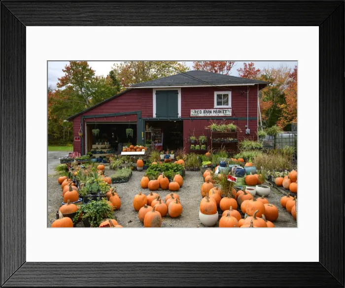 Framed Print : Canada, Maritimes, Nova Scotia, Upper Tantallon, Red Barn Market Framed Print : Canada, Maritimes, Nova Scotia, Upper Tantallon, Red Barn Market