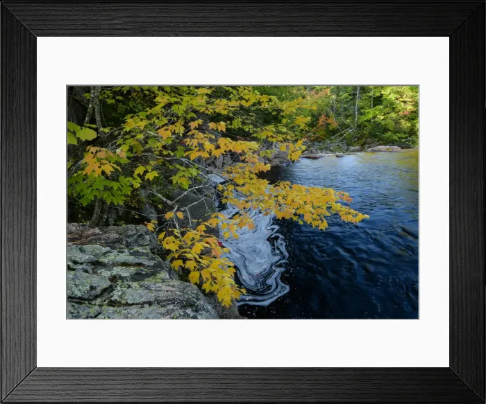 Framed Print : Canada, Maritimes, Cape Breton, Ingonish, Cabot Trail, creek in autumn Framed Print : Canada, Maritimes, Cape Breton, Ingonish, Cabot Trail, creek in autumn
