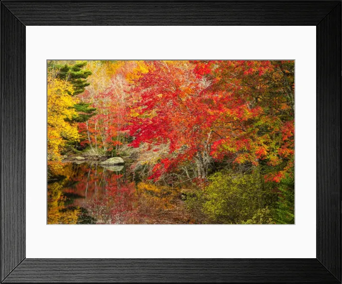 Framed Print : North America, Nova Scotia, Maritimes, Caledonia, Kejimkujik National Park, autumn forest Framed Print : North America, Nova Scotia, Maritimes, Caledonia, Kejimkujik National Park, autumn forest