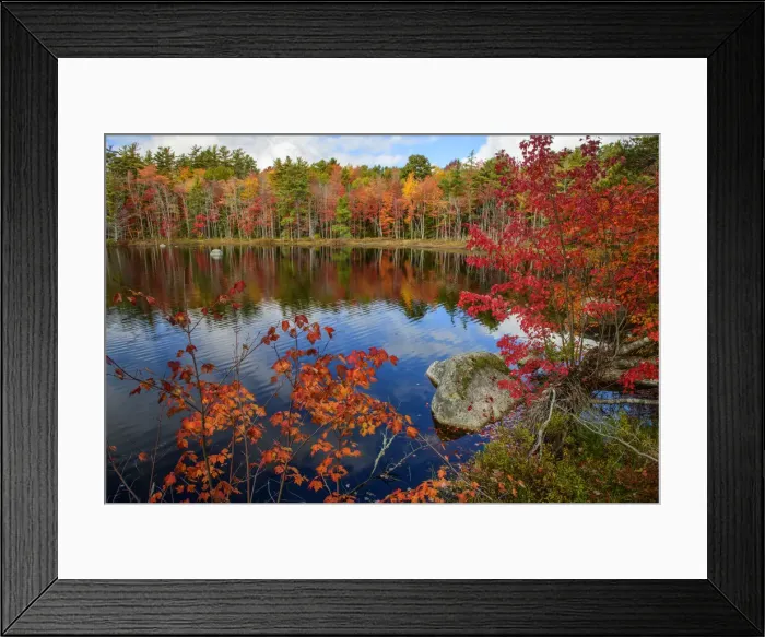 Framed Print : North America, Nova Scotia, Maritimes, Caledonia, Kejimkujik National Park and National Historic Site Framed Print : North America, Nova Scotia, Maritimes, Caledonia, Kejimkujik National Park and National Historic Site