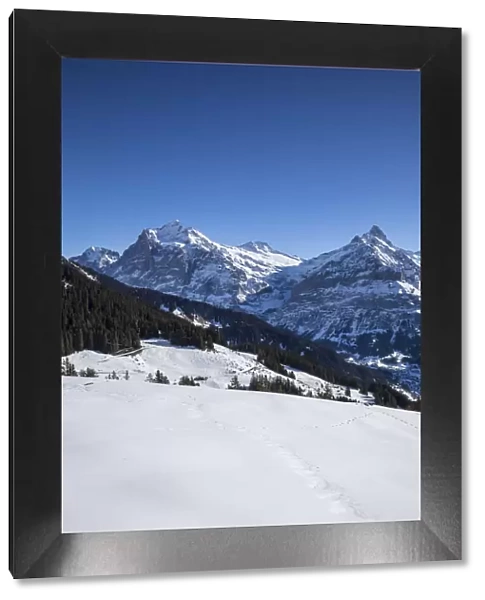 Bussalp, Grindelwald, Jungfrau Region, Berner Oberland, Switzerland