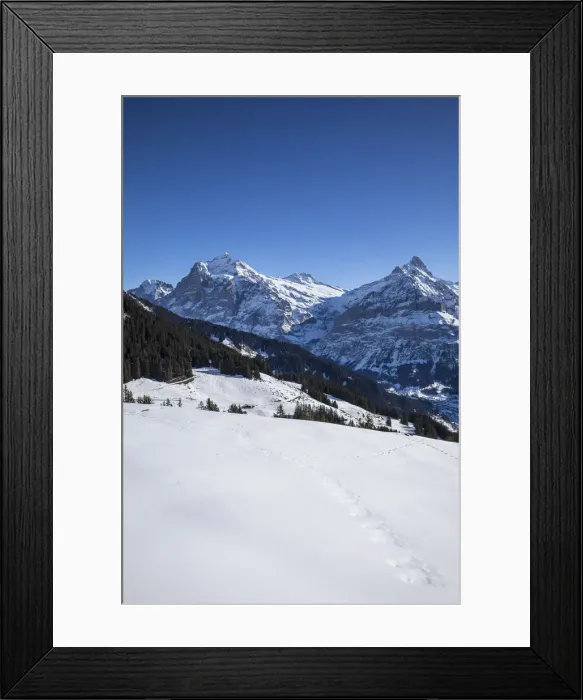 Framed Print : Bussalp, Grindelwald, Jungfrau Region, Berner Oberland, Switzerland Framed Print : Bussalp, Grindelwald, Jungfrau Region, Berner Oberland, Switzerland