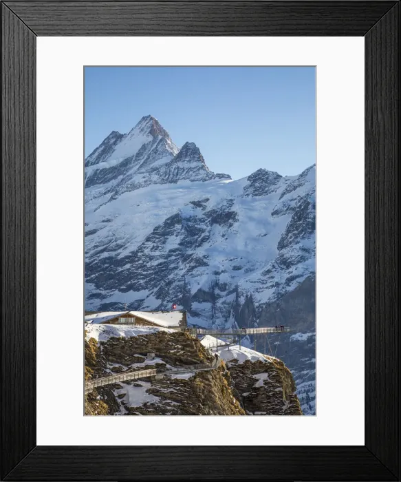 Framed Print : Schreckhorn, Grindelwald First, Grindelwald, Jungfrau Region, Berner Oberland, Switzerland Framed Print : Schreckhorn, Grindelwald First, Grindelwald, Jungfrau Region, Berner Oberland, Switzerland